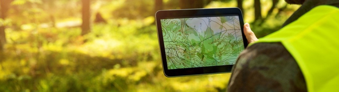 Navigating Urban Growth: Why Environmental Assessments Matter