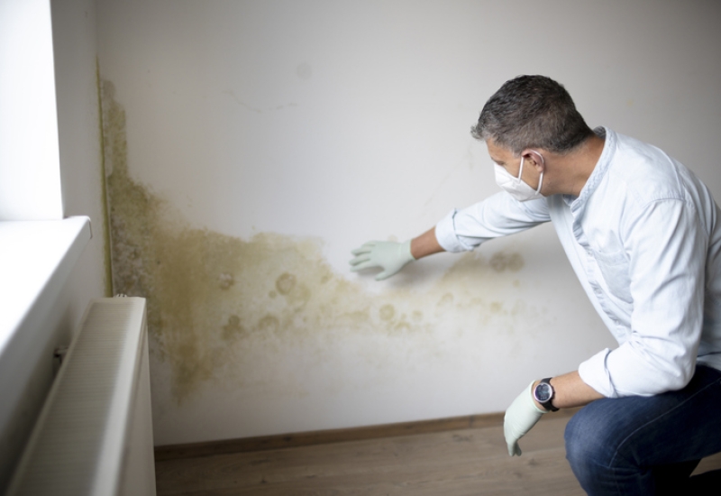 Man with mouth nose mask and blue shirt in front of wall with mold